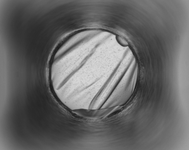 X0000096131424200802151305