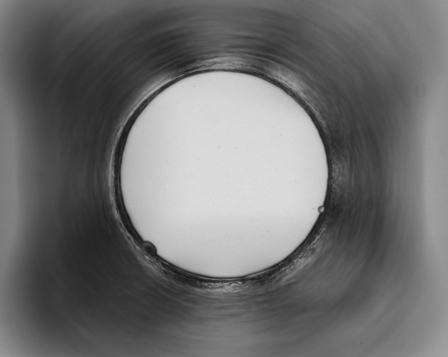 X0000096131426200802151305
