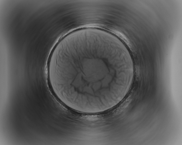 X0000096131428200802151305