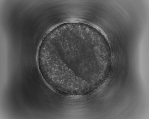 X0000096131429200802151305