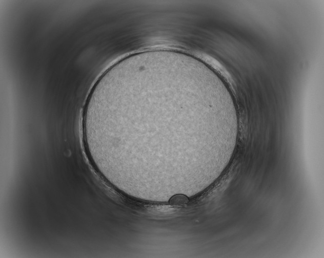 X0000096131431200802151305