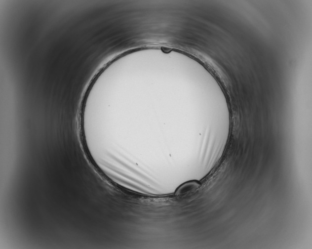 X0000096131432200802151305