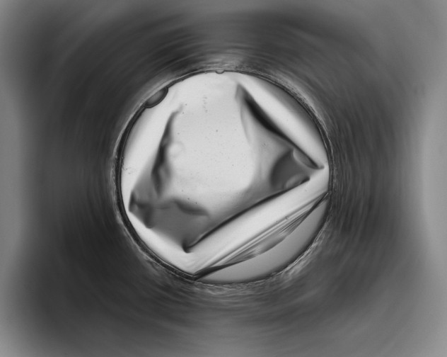 X0000096131434200802151305