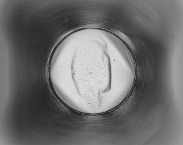 X0000096131436200802151305