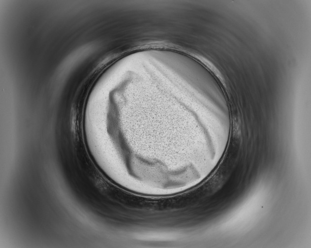 X0000096131438200802151305