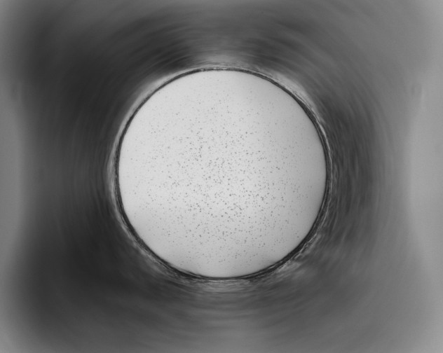 X0000096131440200802151305