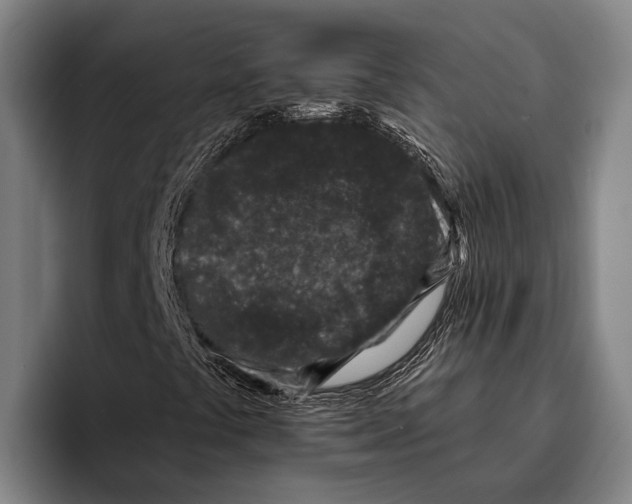 X0000096131441200802151304