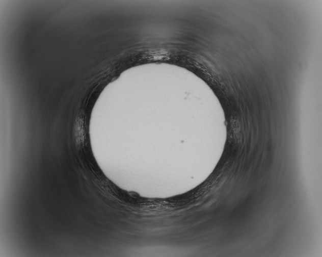 X0000096131442200802151304