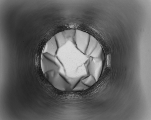 X0000096131443200802151304