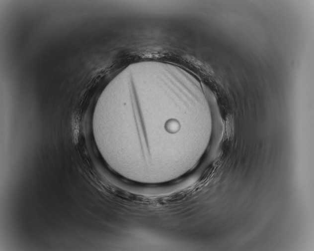 X0000096131444200802151304