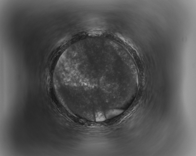 X0000096131445200802151304