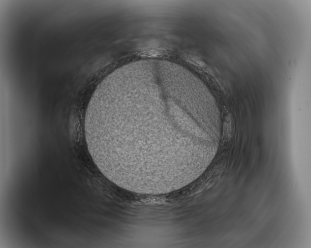 X0000096131446200802151304