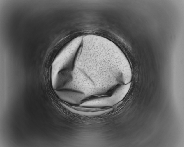 X0000096131448200802151304