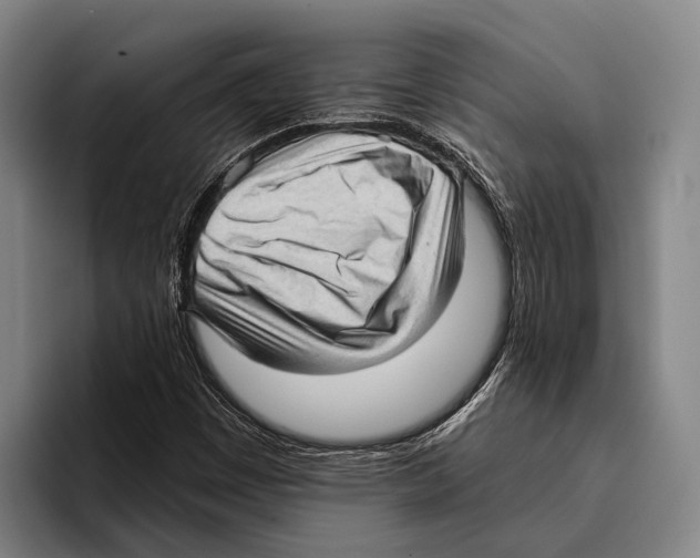 X0000096131449200802151304