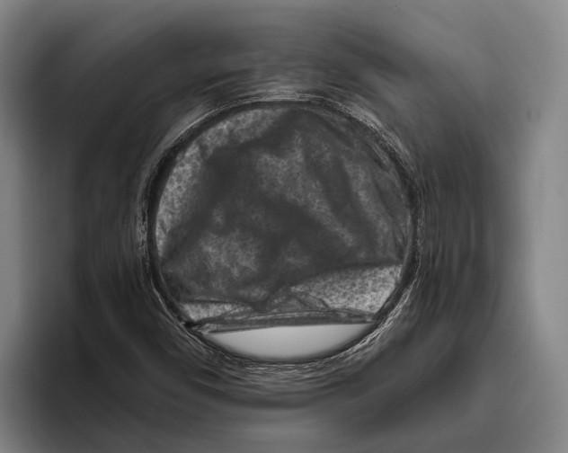 X0000096131450200802151304