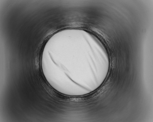 X0000096131451200802151304