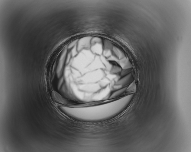 X0000096131452200802151304