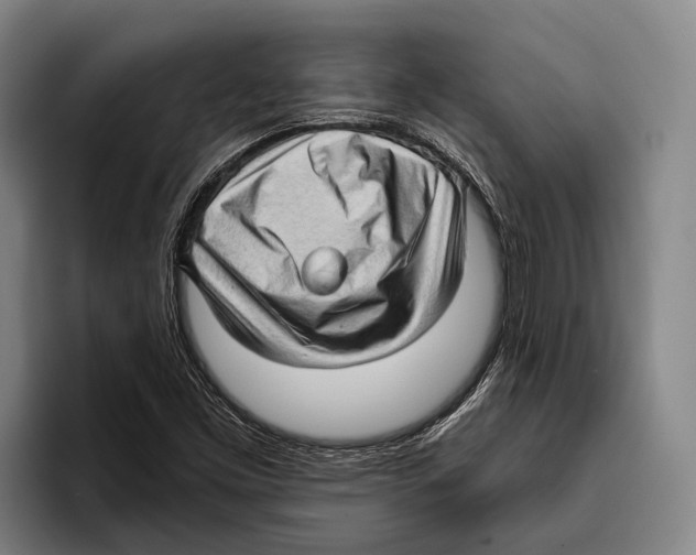 X0000096131453200802151304