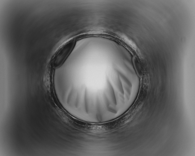 X0000096131456200802151304