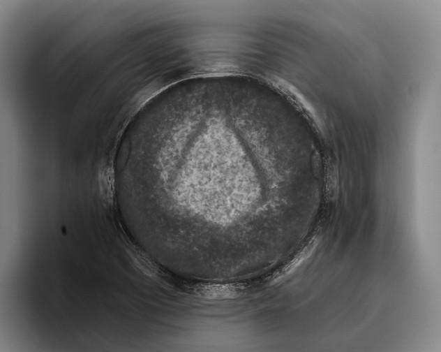 X0000096131457200802151304