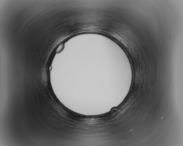 X0000096131458200802151304