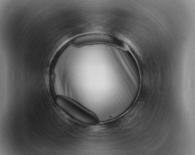 X0000096131460200802151304