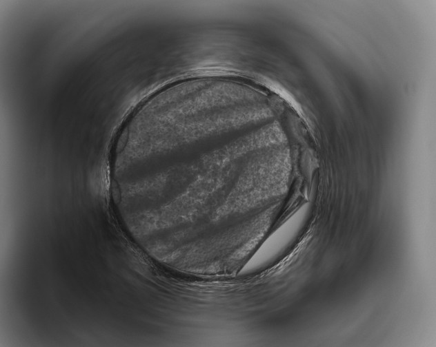 X0000096131461200802151304