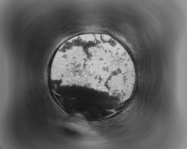 X0000096131463200802151304
