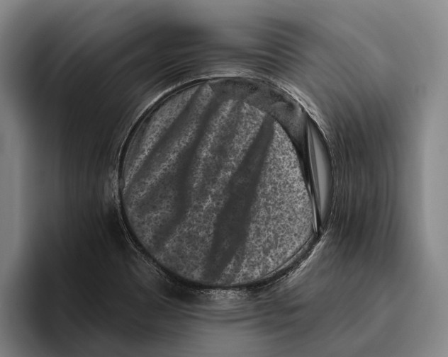 X0000096131465200802151304