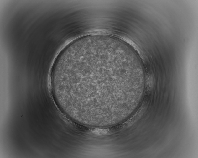 X0000096131466200802151304