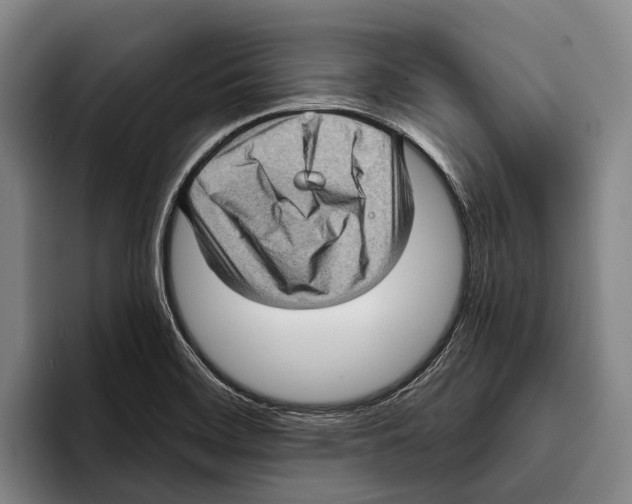 X0000096131468200802151304