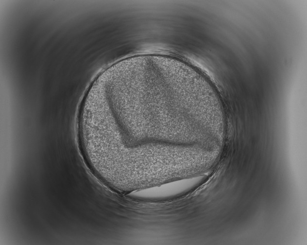 X0000096131471200802151304