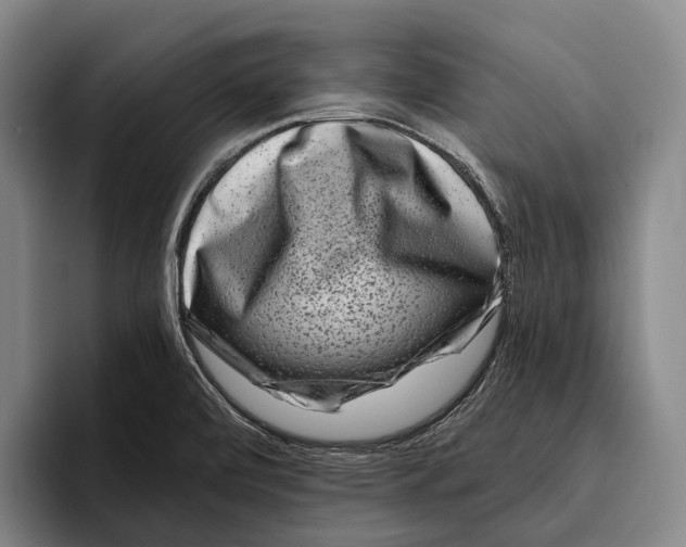 X0000096131472200802151304