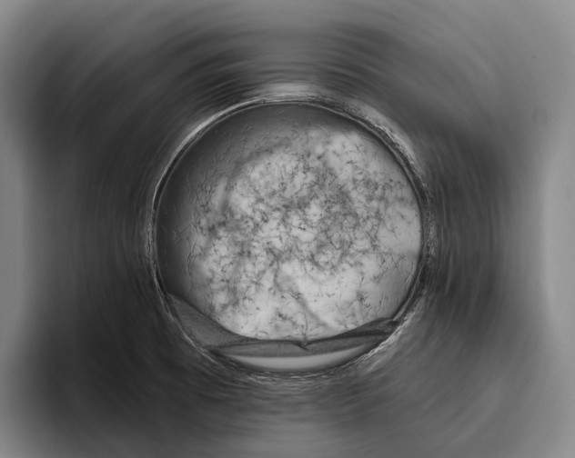 X0000096131473200802151304