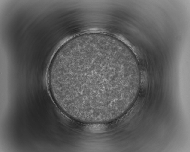 X0000096131474200802151304