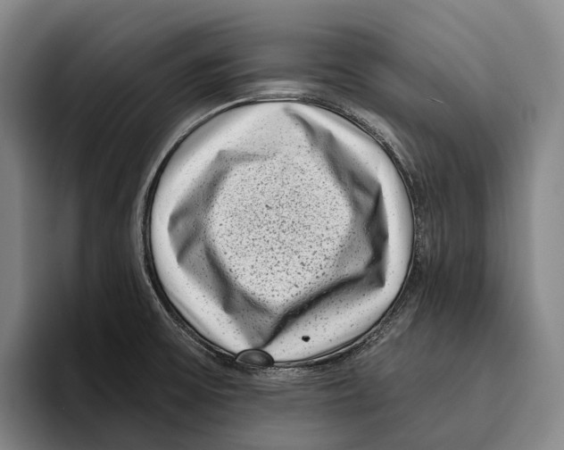 X0000096131475200802151304