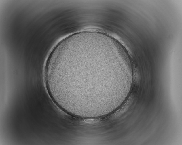 X0000096131478200802151304
