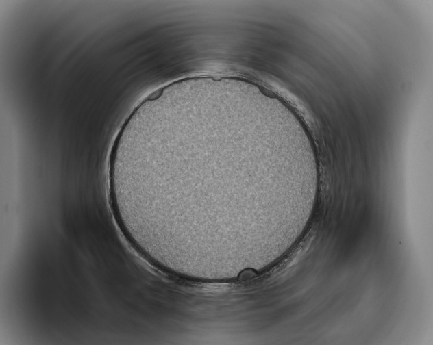 X0000096131479200802151304