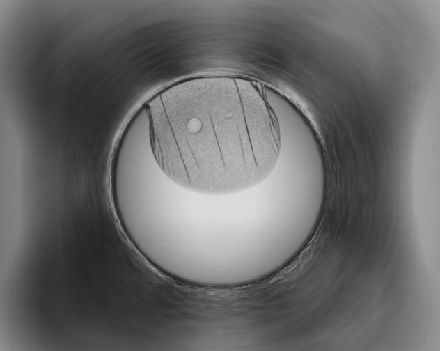 X0000096131480200802151304