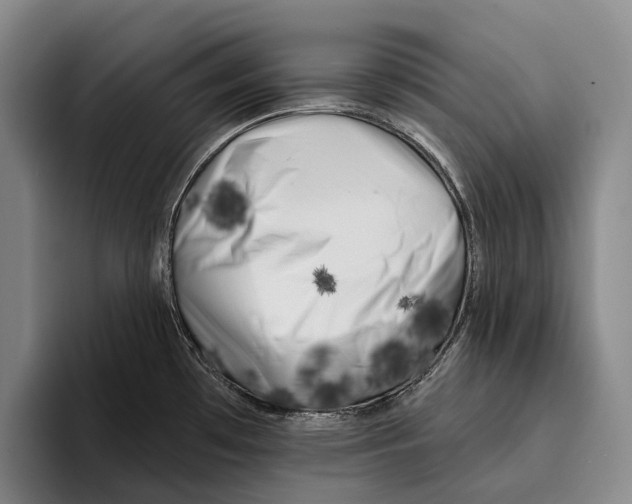 X0000096131481200802151304