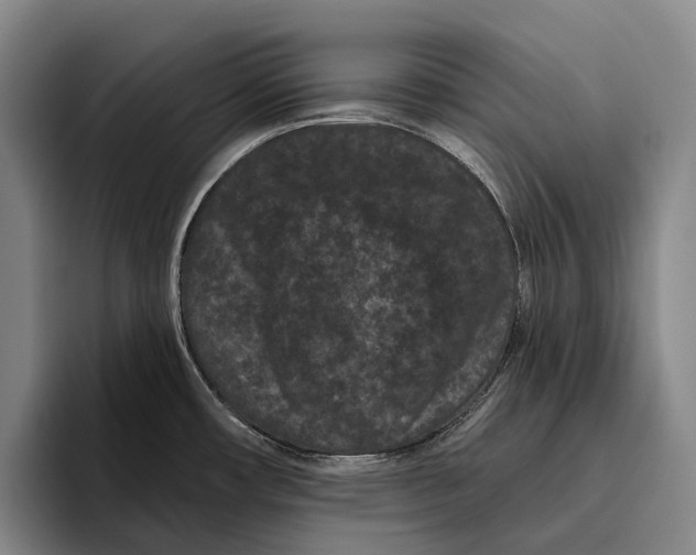 X0000096131482200802151304