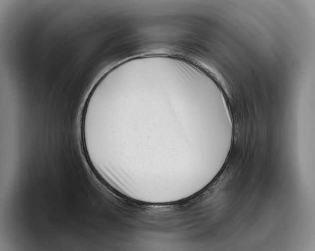 X0000096131483200802151304