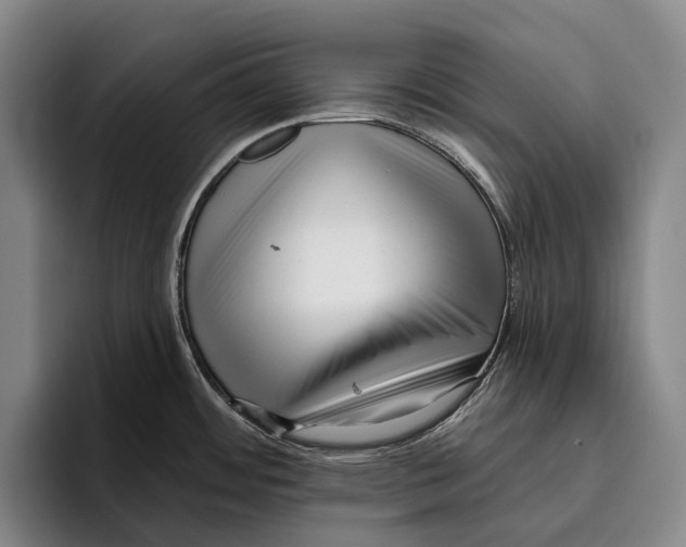X0000096131484200802151304