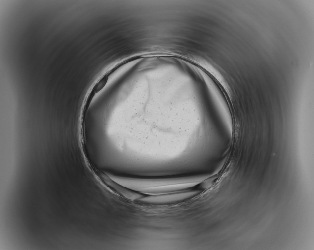 X0000096131485200802151304