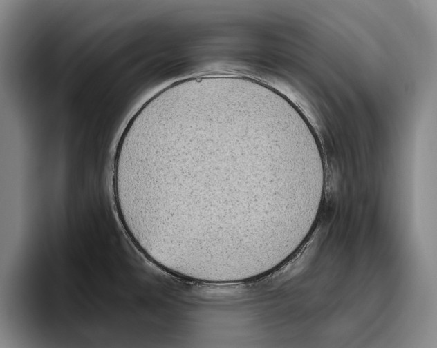 X0000096131486200802151304