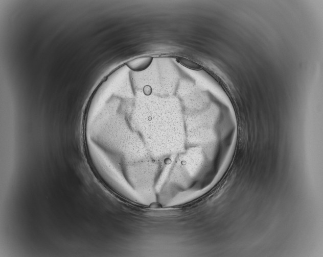 X0000096131487200802151304