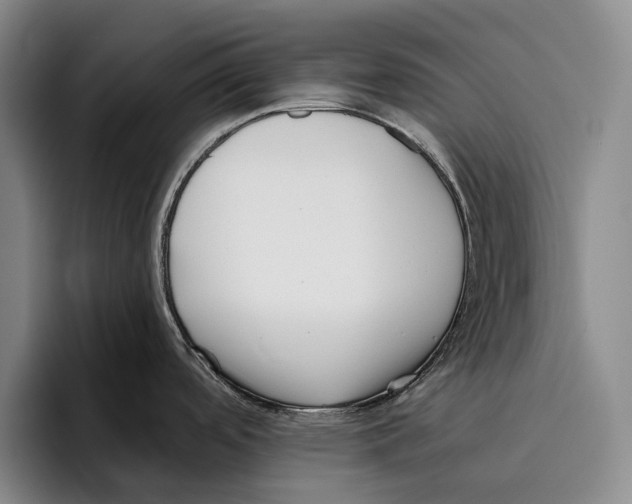 X0000096131488200802151304