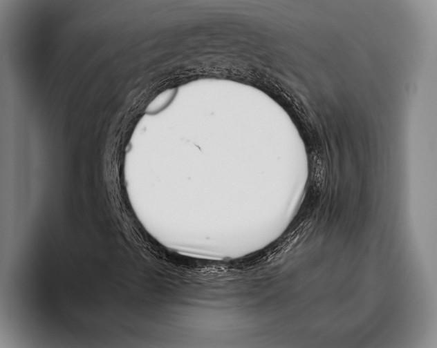 X0000096131489200802151303