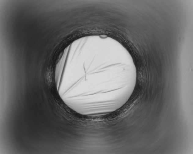 X0000096131490200802151303