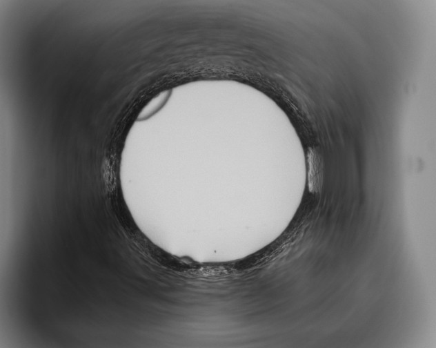 X0000096131491200802151303